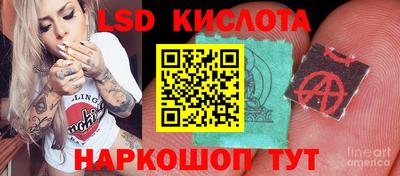 альфа пвп Аргун